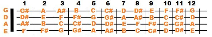 BassGuitarNotes.png